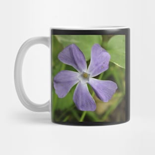 Purple Vine Flower Photographic Image Mug